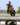 Adrienne Iorio; 5 Star International Eventer