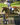 Molly Rosin; Upper Level Event Rider