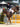 Allison Springer; Veteran Five-star Event Rider & Renowned Trainer and Coach