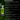 BugGone All Natural Insect Control